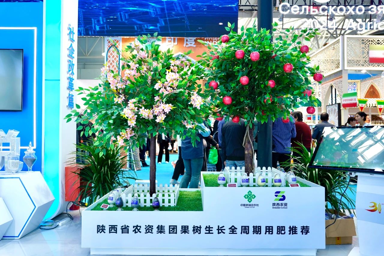 1730107022992549.jpg 3.jpg