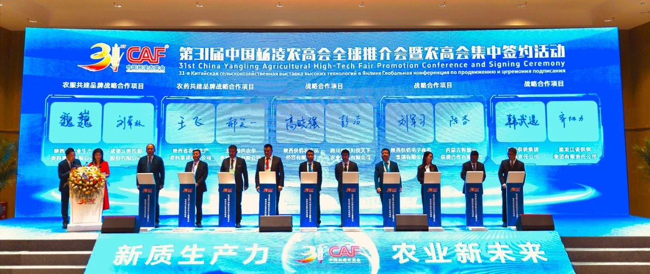 1730107036662329.jpg 4.jpg